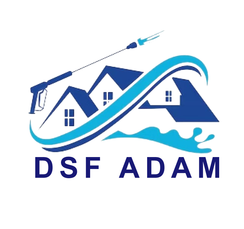 DSF ADAM Logo